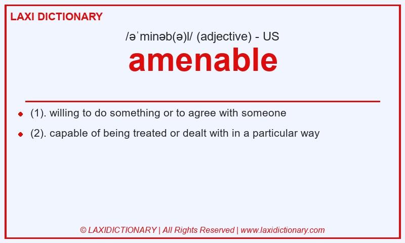 Definition amenable in American English