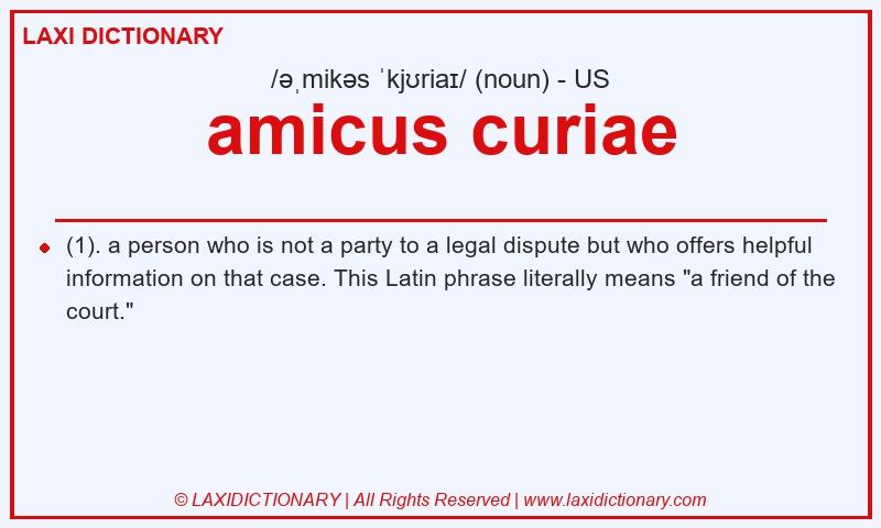 Definition amicus curiae in American English