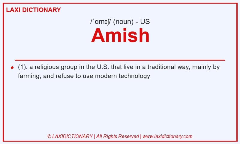 Definition Amish in American English