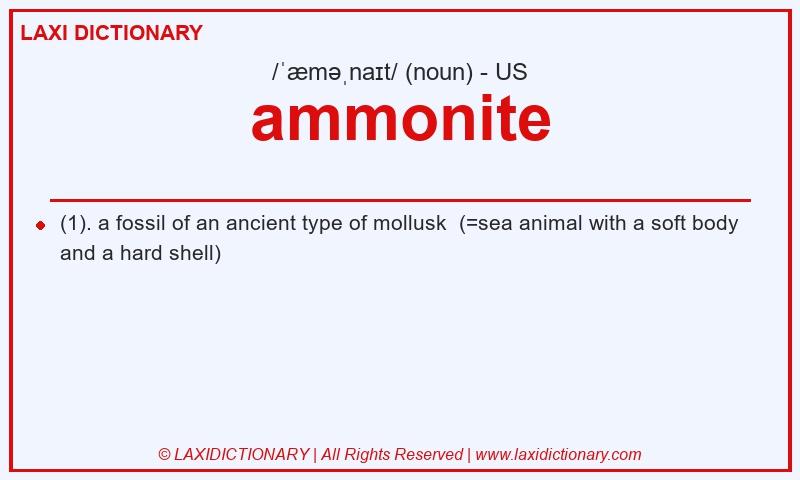 Definition ammonite in American English