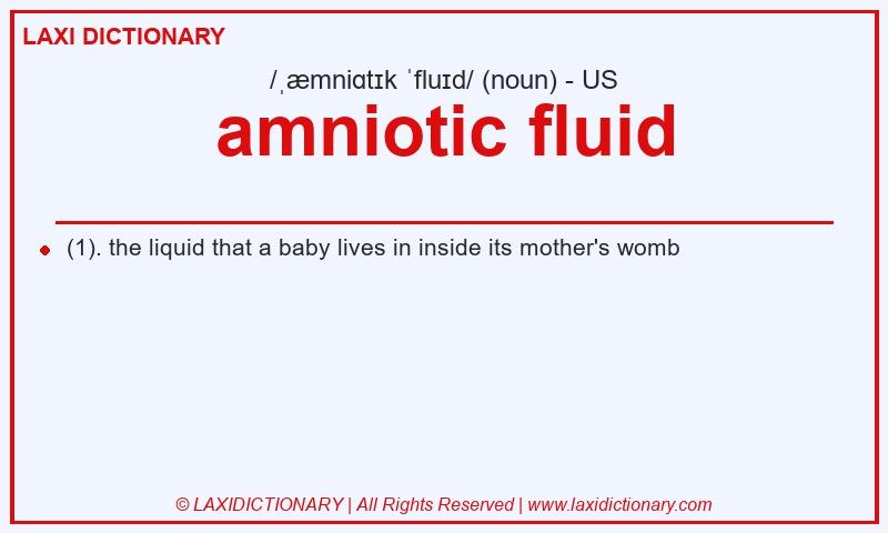 Definition amniotic fluid in American English