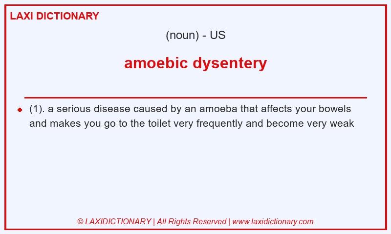 Definition amoebic dysentery in American English