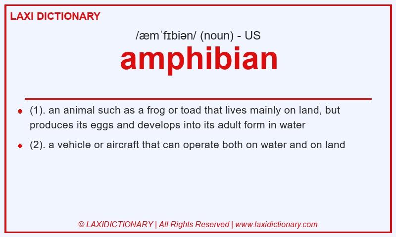 Definition amphibian in American English
