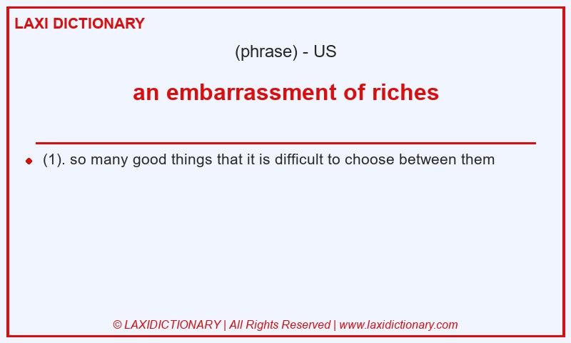 Definition an embarrassment of riches in American English