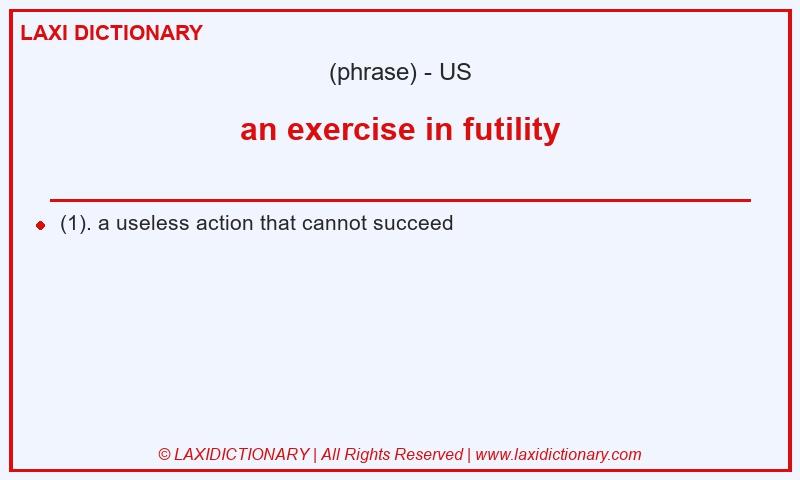 Definition an exercise in futility in American English