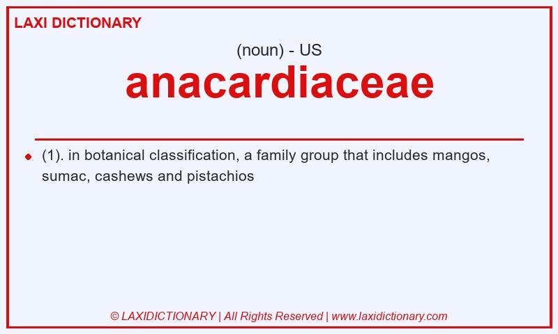 Definition anacardiaceae in American English
