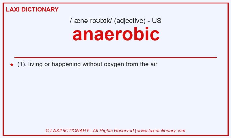 Definition anaerobic in American English