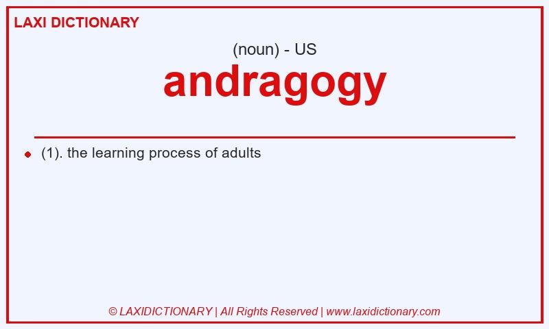 Definition andragogy in American English