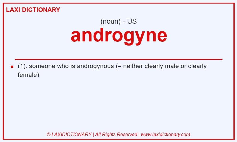 Definition androgyne in American English