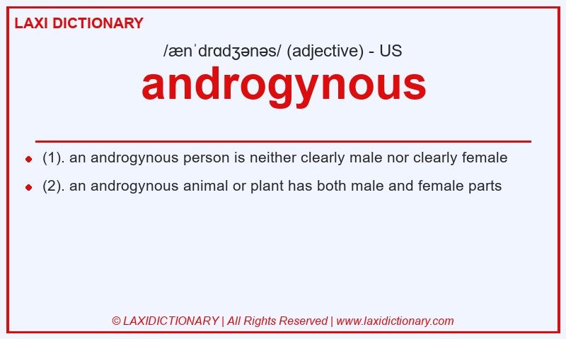 Definition androgynous in American English