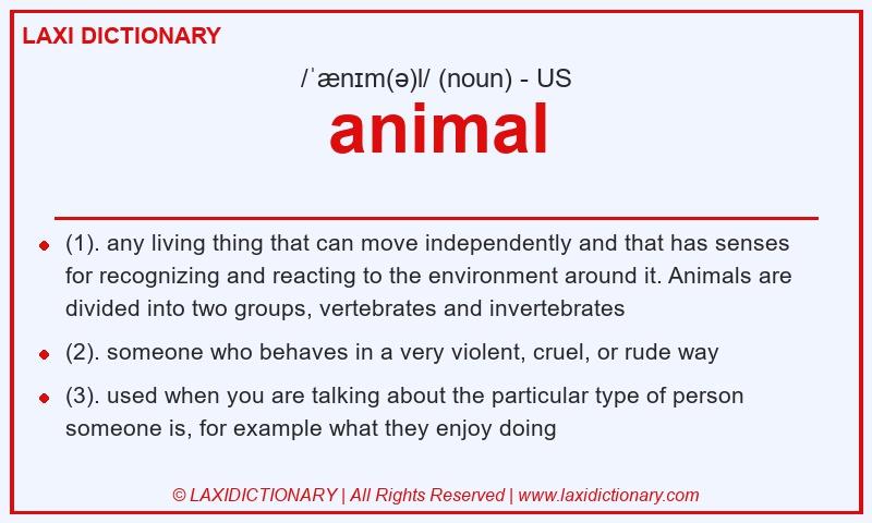 Definition animal in American English