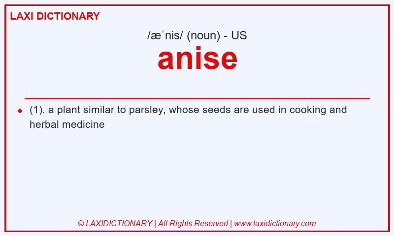 Definition anise in American English