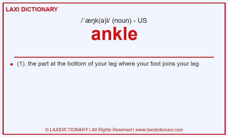 Definition ankle in American English