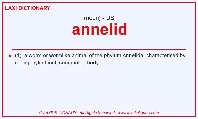 Definition annelid in American English