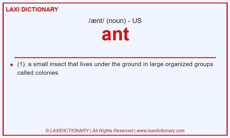 Definition ant in American English