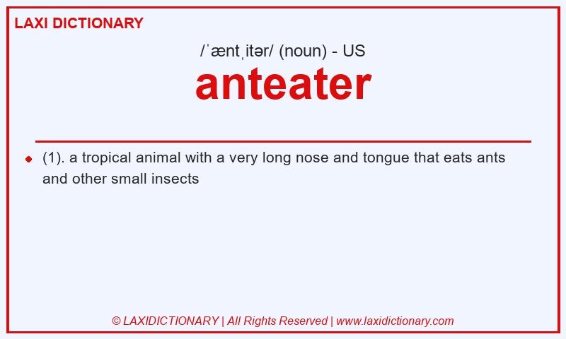 Definition anteater in American English