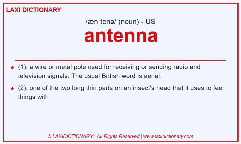 Definition antenna in American English