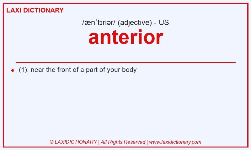 Definition anterior in American English