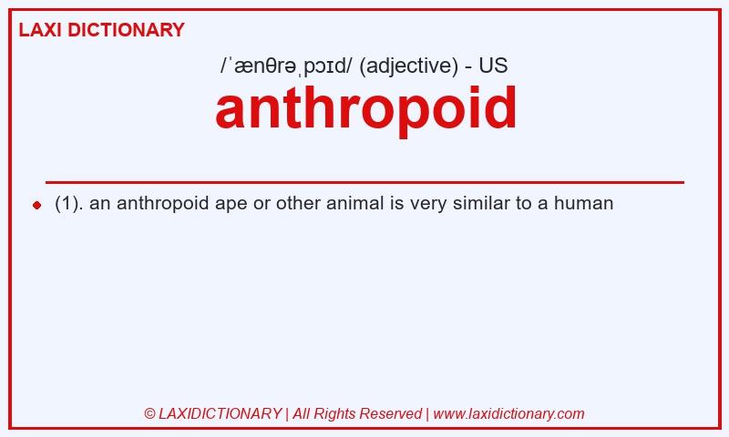 Definition anthropoid in American English
