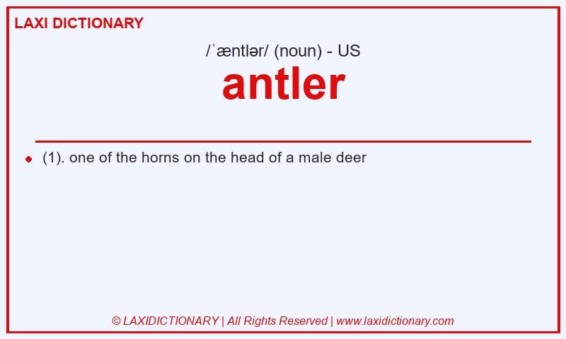Definition antler in American English