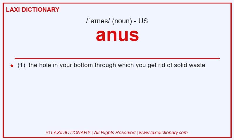 Definition anus in American English