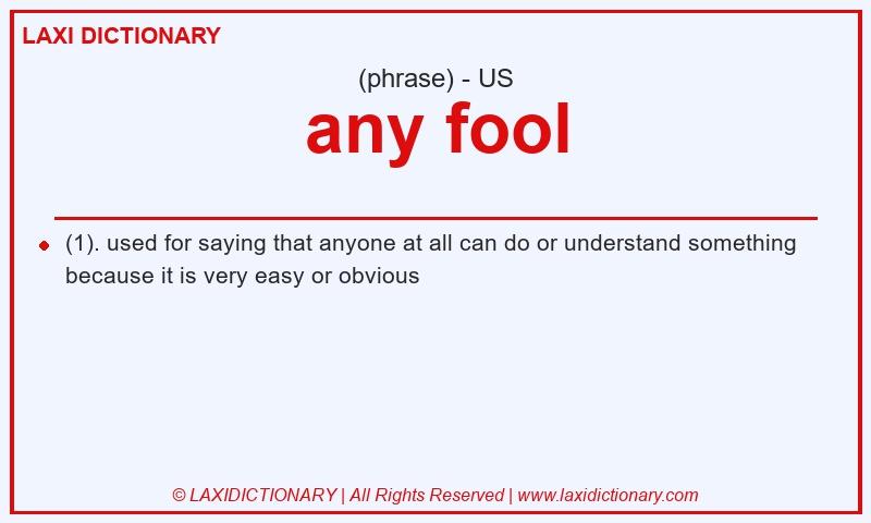 Definition any fool in American English
