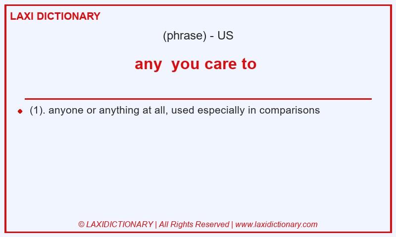 Definition any you care to in American English