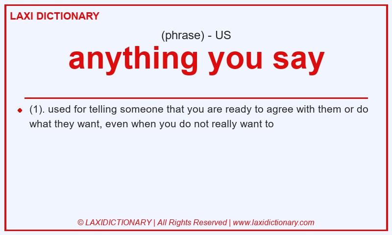 Definition anything you say in American English
