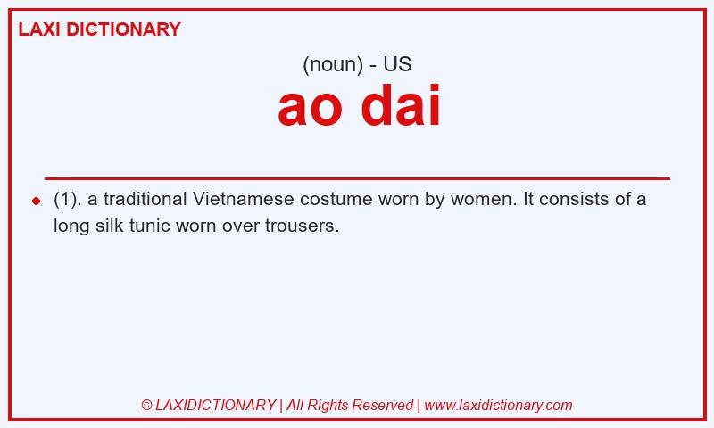 Definition ao dai in American English