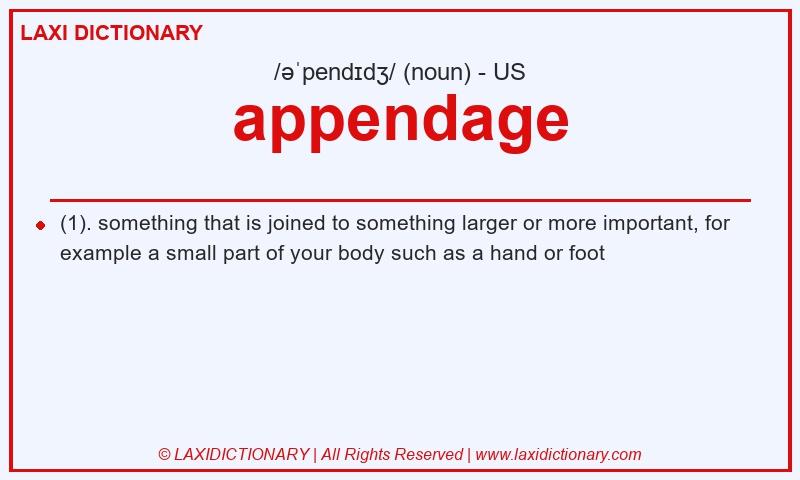 Definition appendage in American English