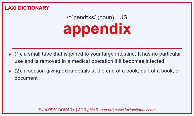 Definition appendix in American English