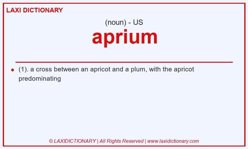 Definition aprium in American English