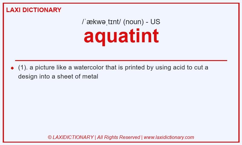 Definition aquatint in American English