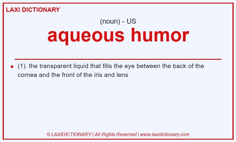 Definition aqueous humor in American English