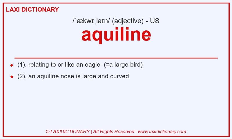 Definition aquiline in American English