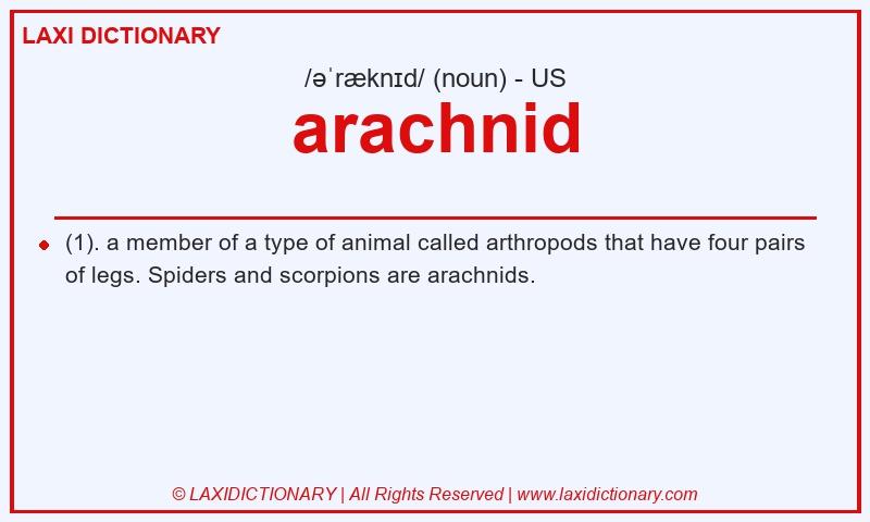 Definition arachnid in American English
