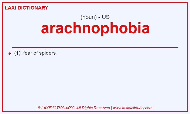 Definition arachnophobia in American English