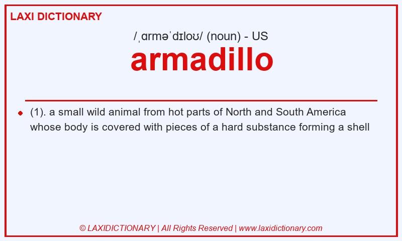 Definition armadillo in American English