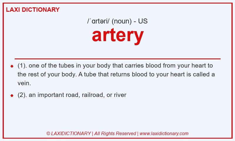 Definition artery in American English
