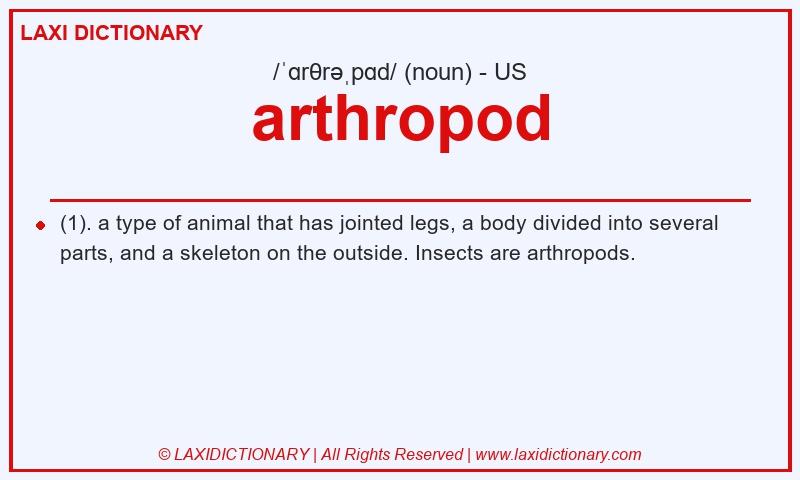Definition arthropod in American English