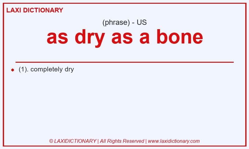 Definition as dry as a bone in American English