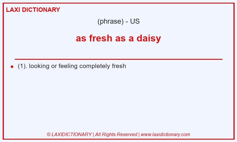 Definition as fresh as a daisy in American English