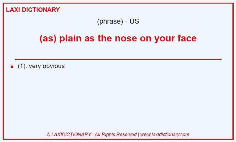 Definition (as) plain as the nose on your face in American English