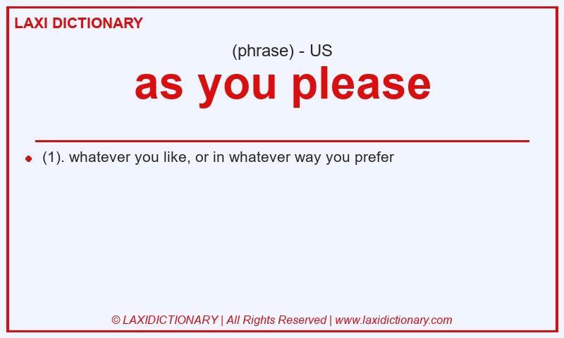 Definition as you please in American English