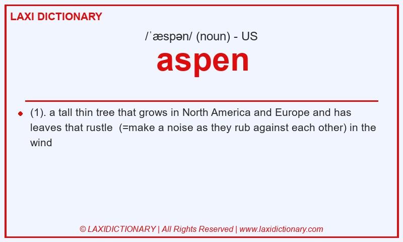 Definition aspen in American English