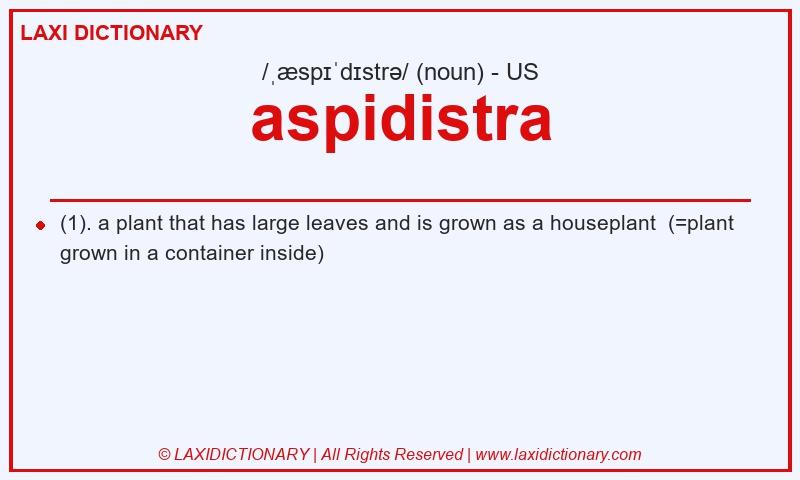 Definition aspidistra in American English