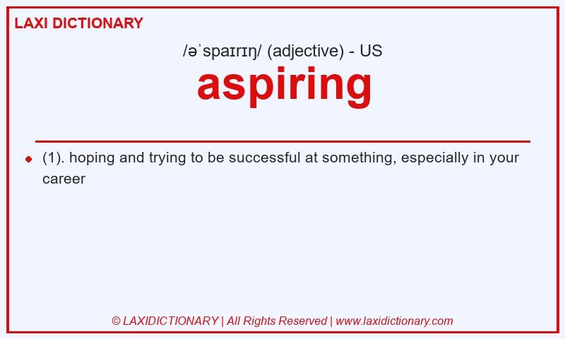 Definition aspiring in American English