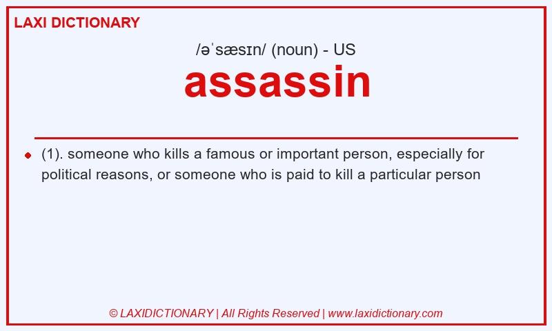 Definition assassin in American English