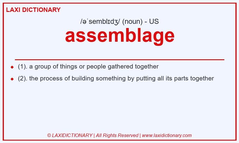 Definition assemblage in American English