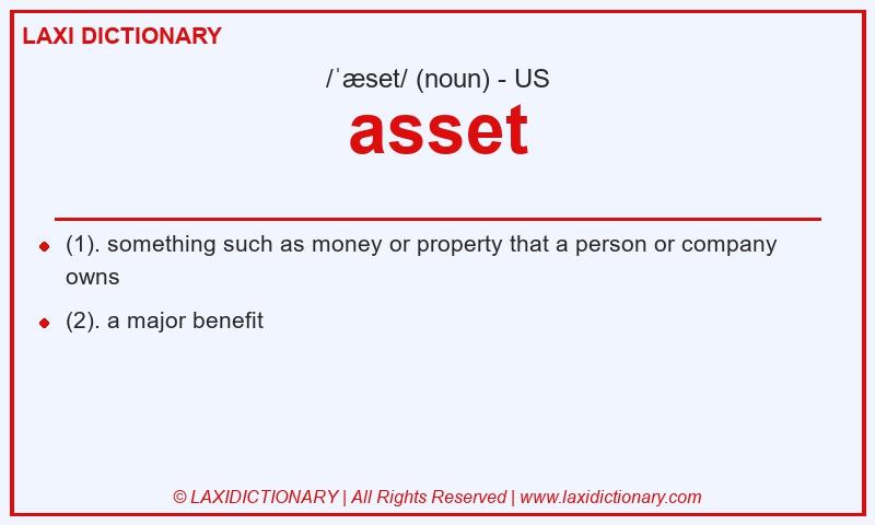 Definition asset in American English